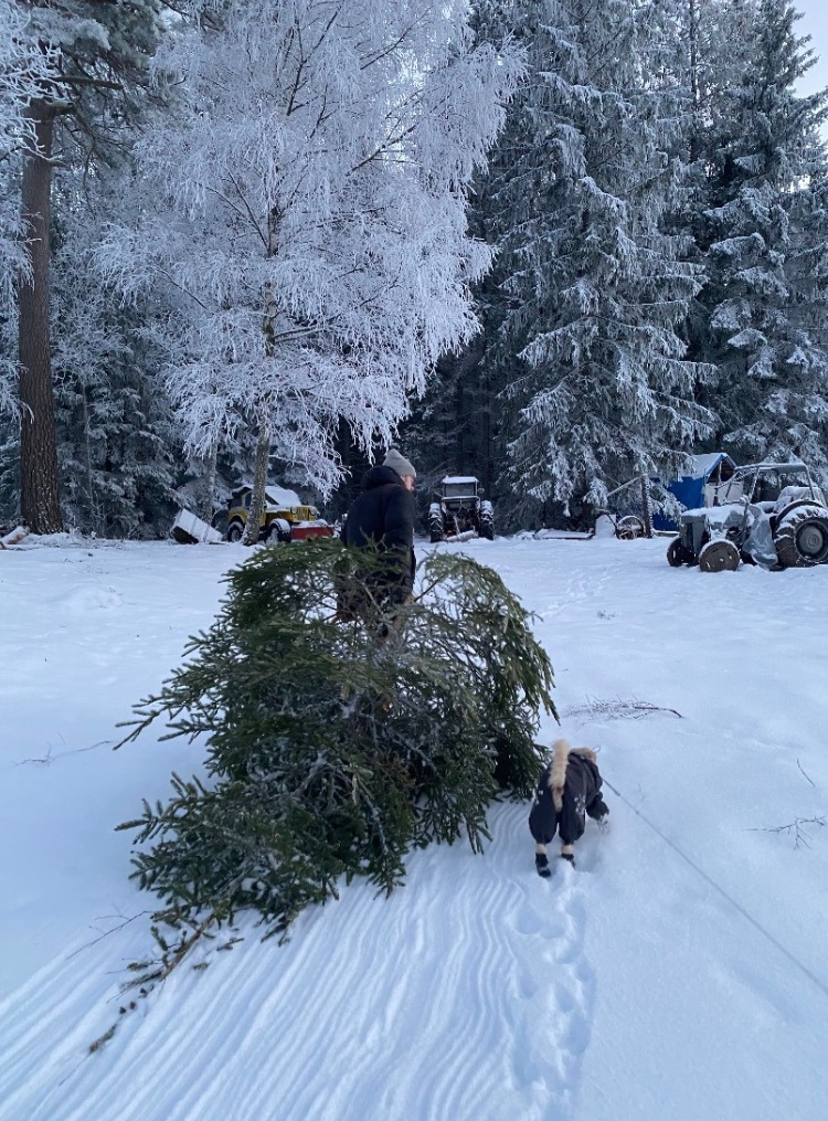 Fredrik Svensson Greenstep